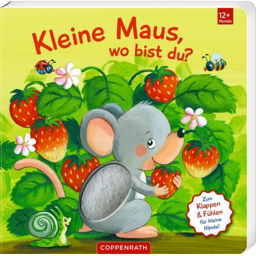 Sabine Kraushaar - Mein 1. Guckloch-Fühlbuch: Kl.Maus, wo bist du? (Fühl.&beg.)