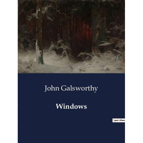 John Galsworthy - Windows