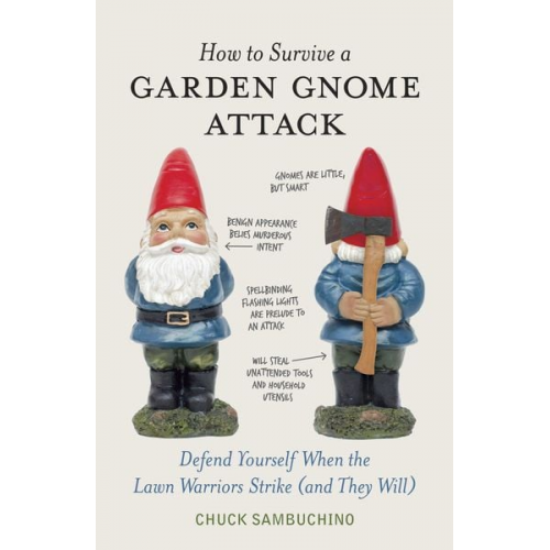 Chuck Sambuchino - How to Survive a Garden Gnome Attack