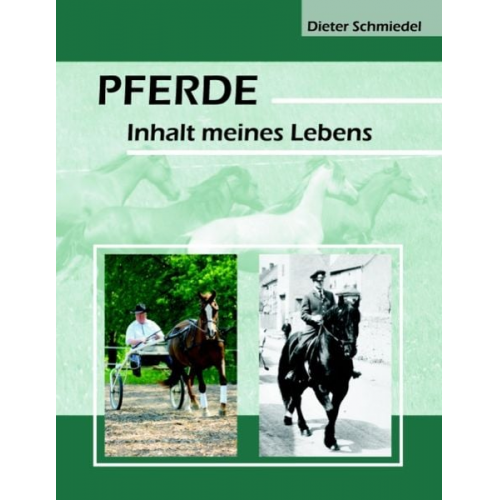 Dieter Schmiedel - Pferde