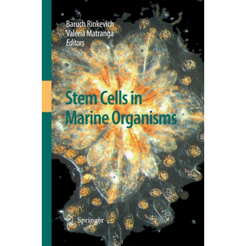 Stem Cells in Marine Organisms