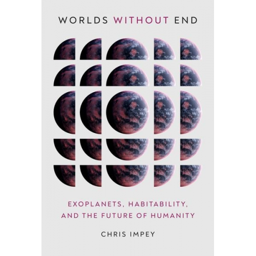 Chris Impey - Worlds Without End