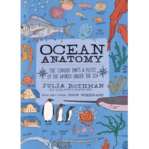 Julia Rothman - Ocean Anatomy