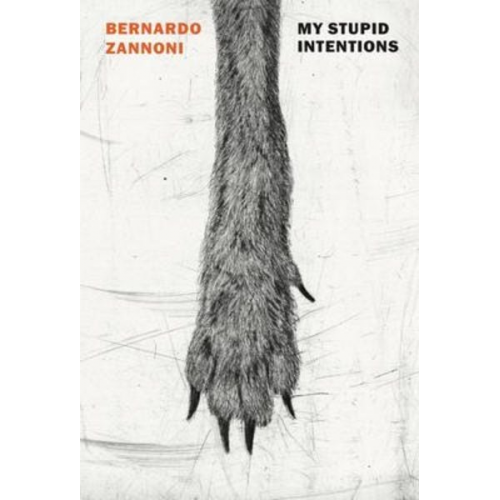 Bernardo Zannoni - My Stupid Intentions