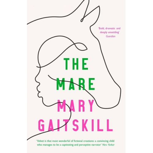 Mary Gaitskill - The Mare