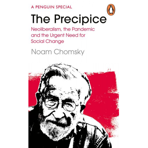 Noam Chomsky C. J. Polychroniou - The Precipice