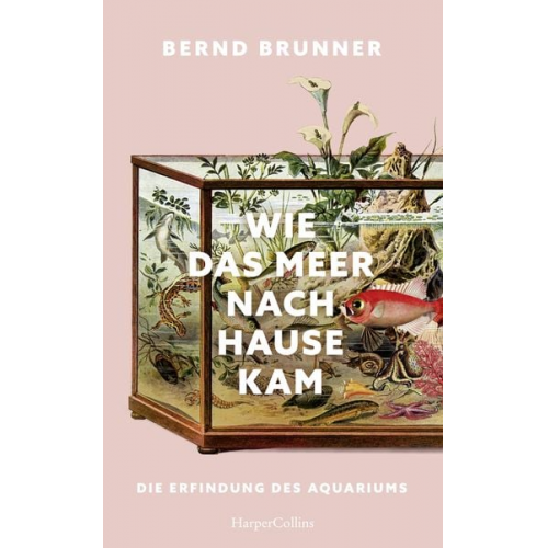 Bernd Brunner - Wie das Meer nach Hause kam. Die Erfindung des Aquariums