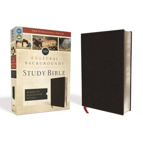 Zondervan - NIV, Cultural Backgrounds Study Bible, Bonded Leather, Black