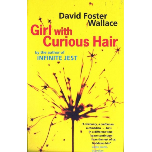 David Foster Wallace - Girl with Curious Hair