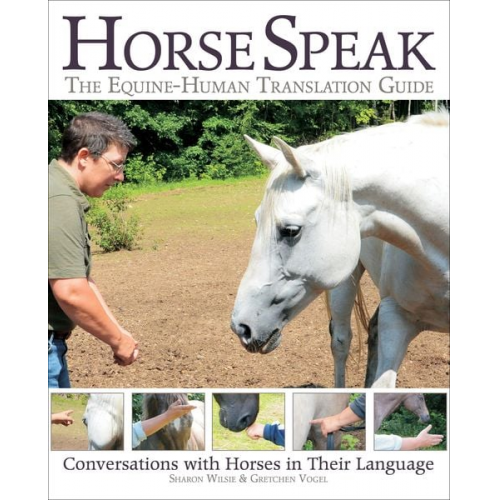 Sharon Wilsie Gretchen Vogel - Horse Speak