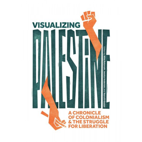 Visualizing Palestine