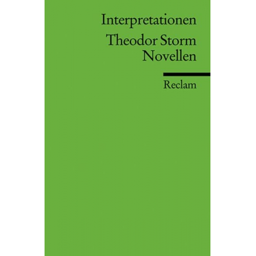 Christoph Deupmann - Interpretationen: Theodor Storm. Novellen