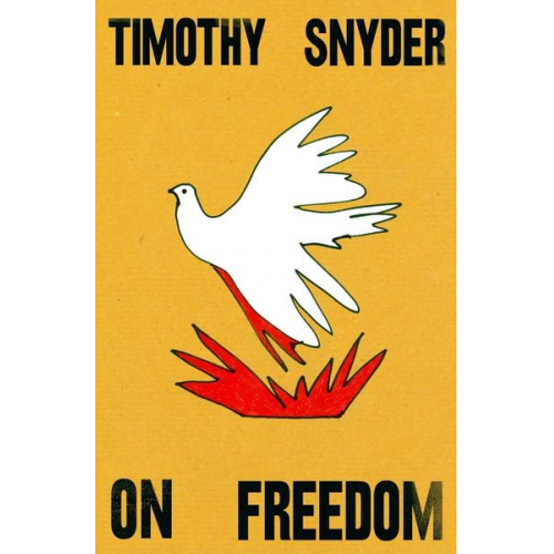 Timothy Snyder - On Freedom