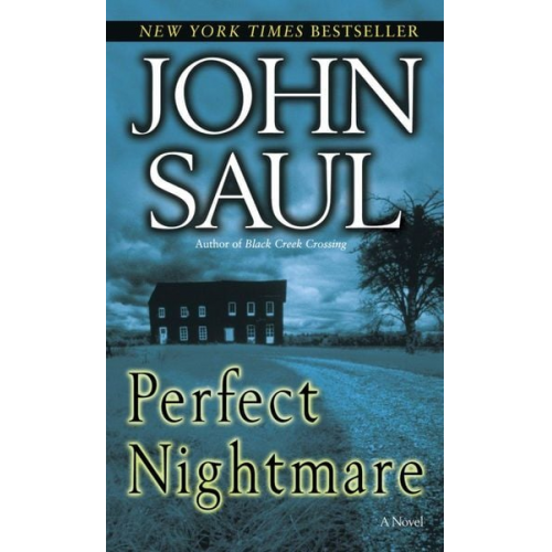 John Saul - Perfect Nightmare