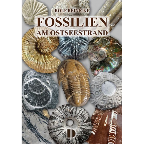 Rolf Reinicke - Fossilien am Ostseestrand