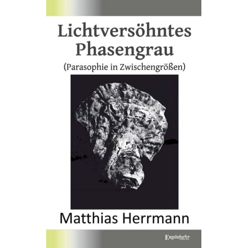 Matthias Herrmann - Lichtversöhntes Phasengrau