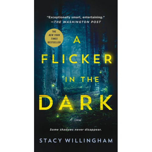 Stacy Willingham - A Flicker in the Dark