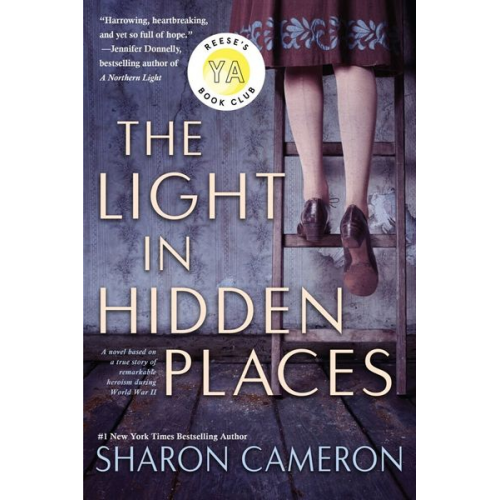 Sharon Cameron - The Light in Hidden Places