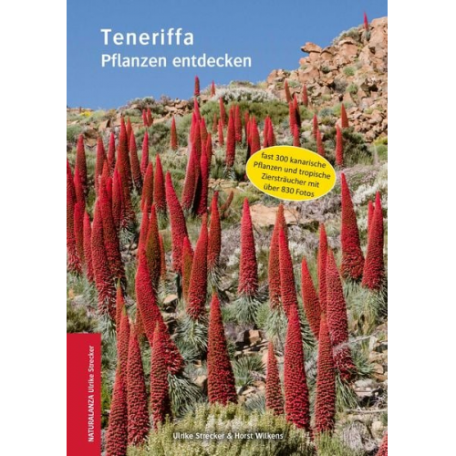 Ulrike Strecker Horst Wilkens - Teneriffa