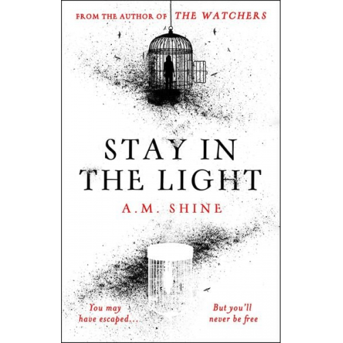 A. M. Shine - Stay in the Light