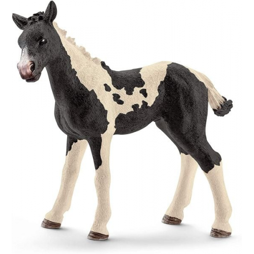 Schleich 13803 - Horse Club, Pinto Fohlen, Tierfigur, Pferd