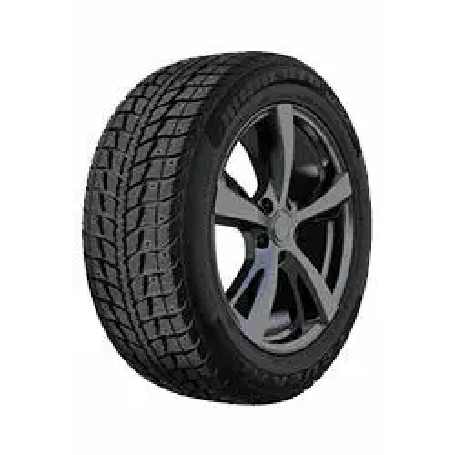 225/60 R17 103T Himalaya WS2 XL