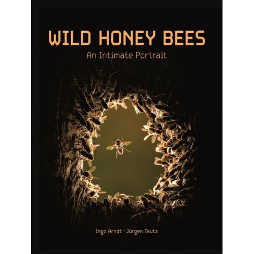 Ingo Arndt Jürgen Tautz - Wild Honey Bees