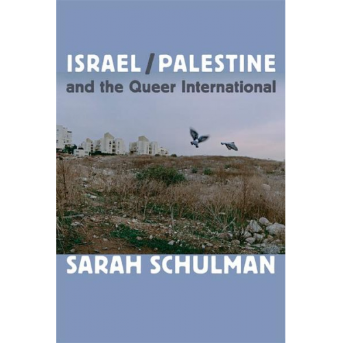 Sarah Schulman - Israel/Palestine and the Queer International