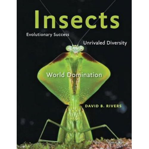 David B. Rivers - Insects