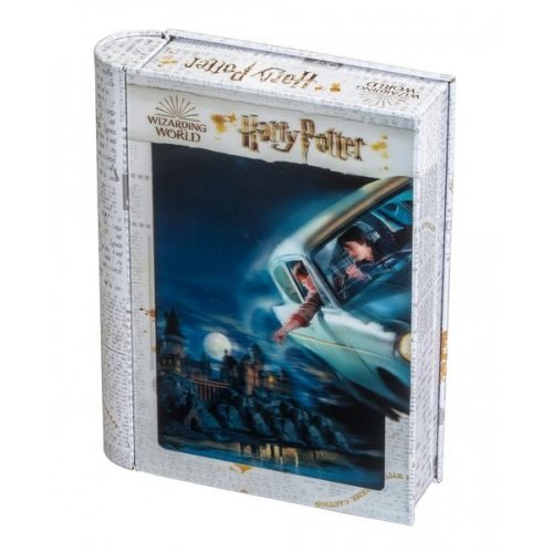 Philos 9043 - Philos 9042 - Wizarding World, Harry Potter, Harry & Ron, 3D-Puzzle in Sammlerbox, 300 Teile