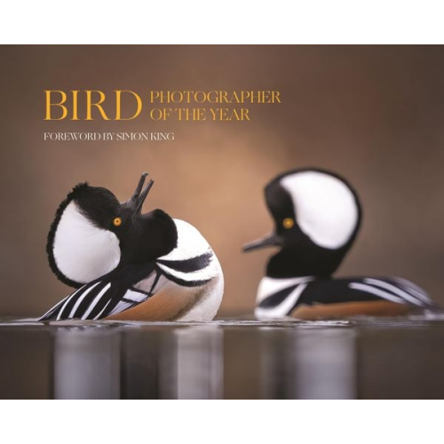 Bird Photographer of the Year Limited (COR)/ King  - Bird Photographer of the Year