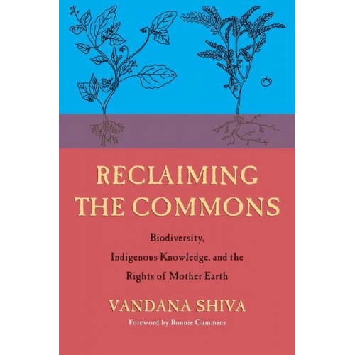 Vandana Shiva - Reclaiming the Commons