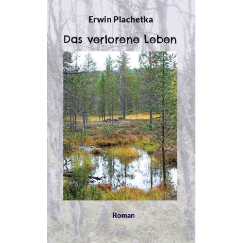 Erwin Plachetka - Das verlorene Leben