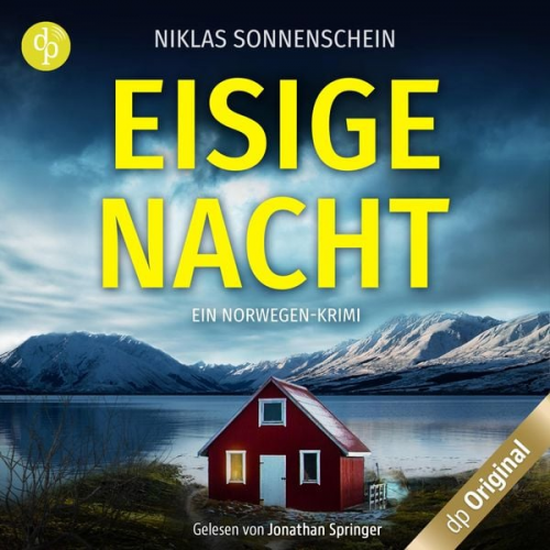 Niklas Sonnenschein - Eisige Nacht - Ein Norwegen-Krimi