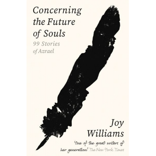 Joy Williams - Concerning the Future of Souls