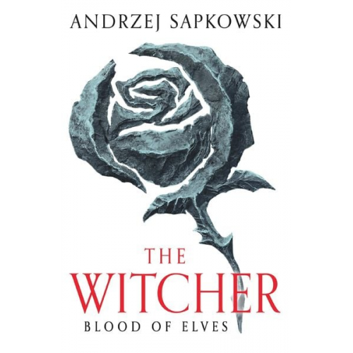 Andrzej Sapkowski - Blood of Elves