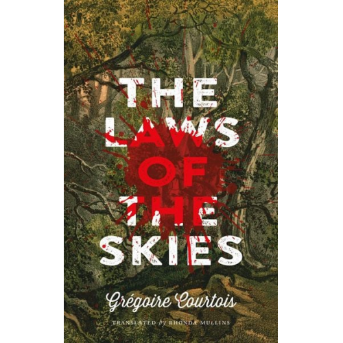 Grégoire Courtois - The Laws of the Skies