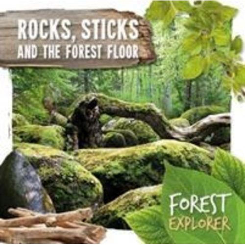 Robin Twiddy - Rocks, Sticks & the Forest Floor