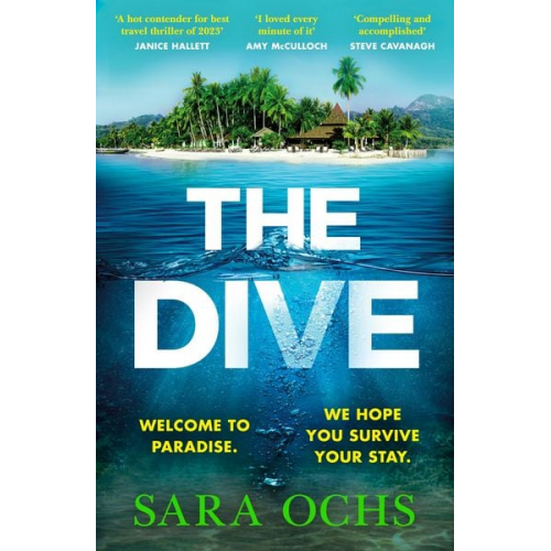 Sara Ochs - The Dive