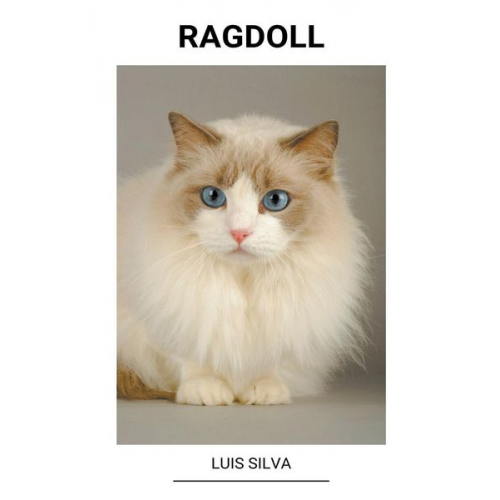 Luis Silva - Ragdoll