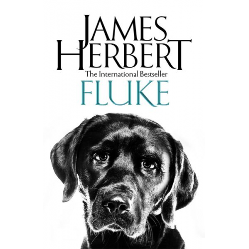 James Herbert - Fluke