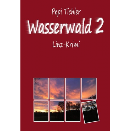 Pepi Tichler - Wasserwald 2