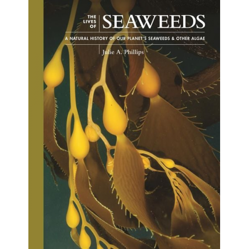 Julie A. Phillips - The Lives of Seaweeds