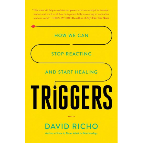 David Richo - Triggers