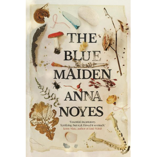 Anna Noyes - The Blue Maiden