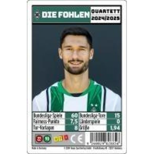 Borussia Mönchengladbach Quartett 24/25