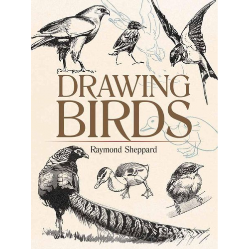 Raymond Sheppard - Drawing Birds