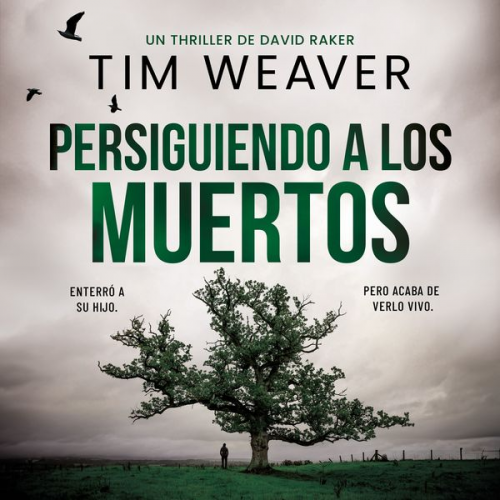 Tim Weaver - Persiguiendo a los muertos