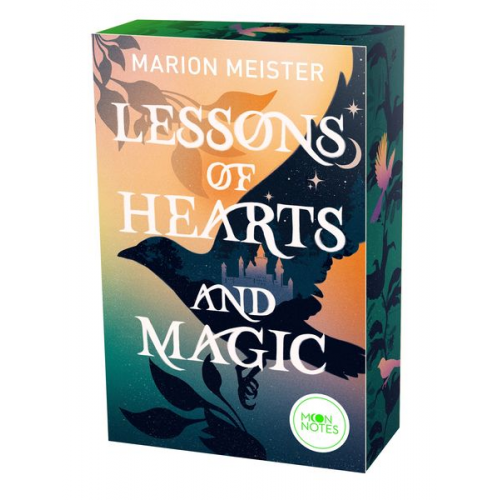 Marion Meister - Lessons of Hearts and Magic