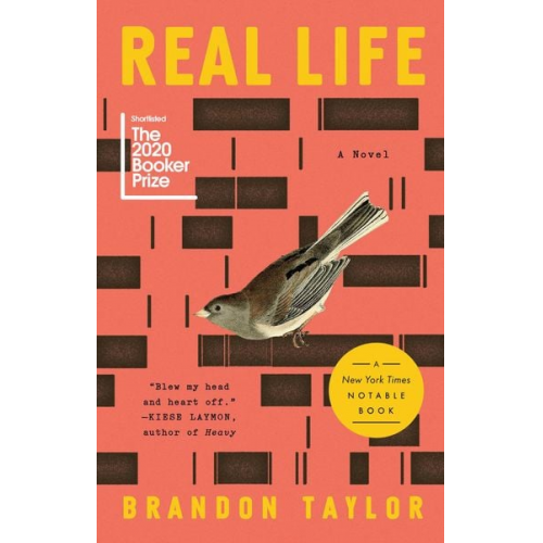 Brandon Taylor - Real Life